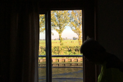 Amsterdam-and-Harlem-2018-104-of-310