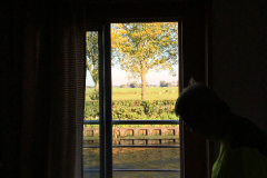 Amsterdam-and-Harlem-2018-105-of-310