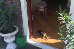 Broek-in-Waterland-2018-220-of-310