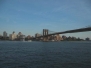 nyc-social