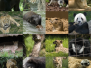 National Zoological Park