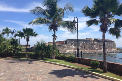 Puerto Rico 2014