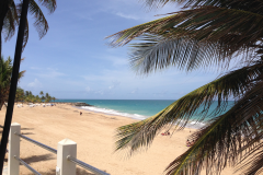 Puerto Rico 2014
