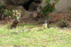 Puerto Rico 2014