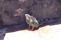 Puerto Rico 2014