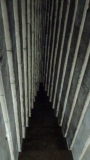 2C410FEF-DA2F-45F3-BBED-C6FD89CCF30D_1_105_c