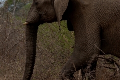 1_za-knp-6369-