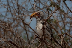 1_za-knp-6395-