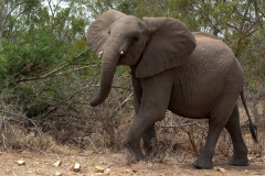 1_za-knp-6467-