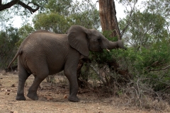 1_za-knp-6471-