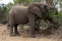 1_za-knp-6475-