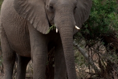 1_za-knp-6482-