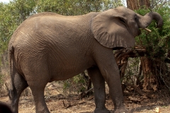 1_za-knp-6501-