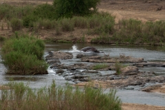 1_za-knp-6837-