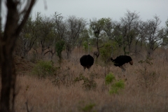 1_za-knp-7607-