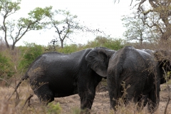 1_za-knp-7866-