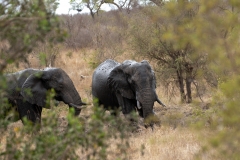 1_za-knp-7896-