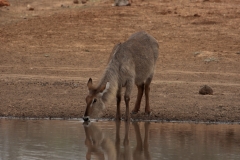 1_za-knp-7926-