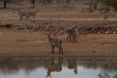 1_za-knp-7929-