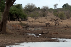 1_za-knp-7945-