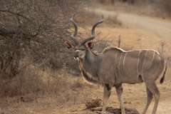 1_za-knp-7953-