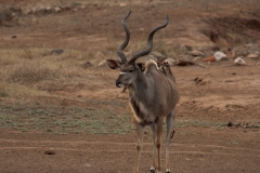 1_za-knp-8047-