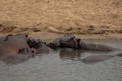 1_za-knp-8167-