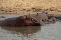 1_za-knp-8179-