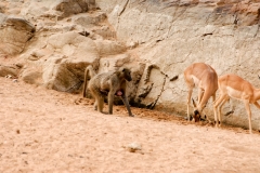 1_za-knp-9156-