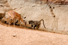 1_za-knp-9161-