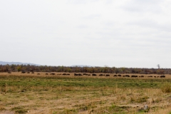 1_za-knp-9315-