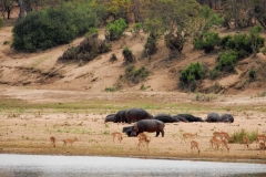 1_za-knp-9353-