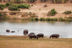 1_za-knp-9363-