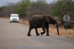 1_za-knp-9487-