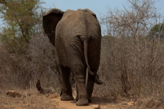 2_za-knp-6372-