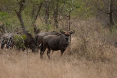 2_za-knp-7675-