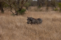 2_za-knp-7716-