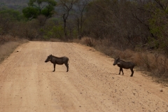 2_za-knp-7834-