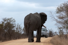 2_za-knp-7853-