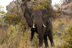 2_za-knp-8548-