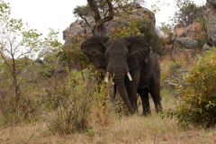 2_za-knp-8549-