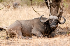 2_za-knp-9312-
