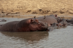 3_za-knp-8179-