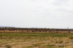 3_za-knp-9315-