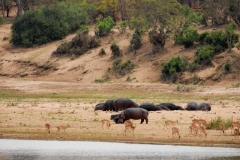3_za-knp-9353-
