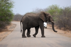 3_za-knp-9484-