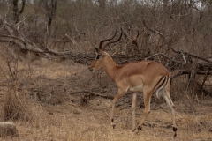 za-knp-6762-
