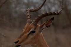 za-knp-6769-