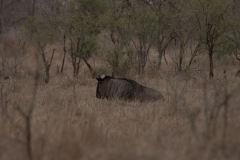 za-knp-7190-
