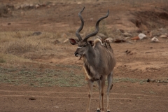 za-knp-8047-